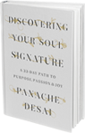 33-Day Path - Discover Your Soul Signature - Panache Desai