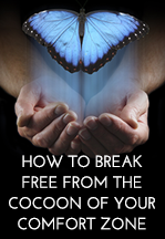 Metamorphosis: HOW TO BREAK FREE FROM THE COCOON OF YOUR COMFORT ZONE
