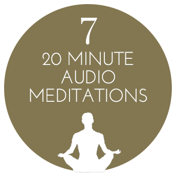 Panache Desai Divinity Online Immersion - 7 – 20 Minute Audio Meditations 