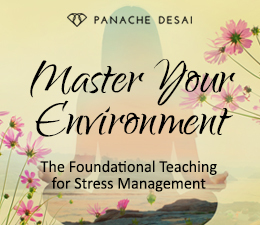 Master Your Environment - The Foundational Teaching for Stress Management