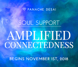 November Soul Support – 2018 - Amplified Connectedness