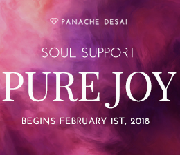 February Soul Support - Pure Joy - Panache Desai