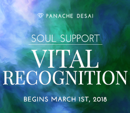 March Soul Support - Vital Recognition - Panache Desai