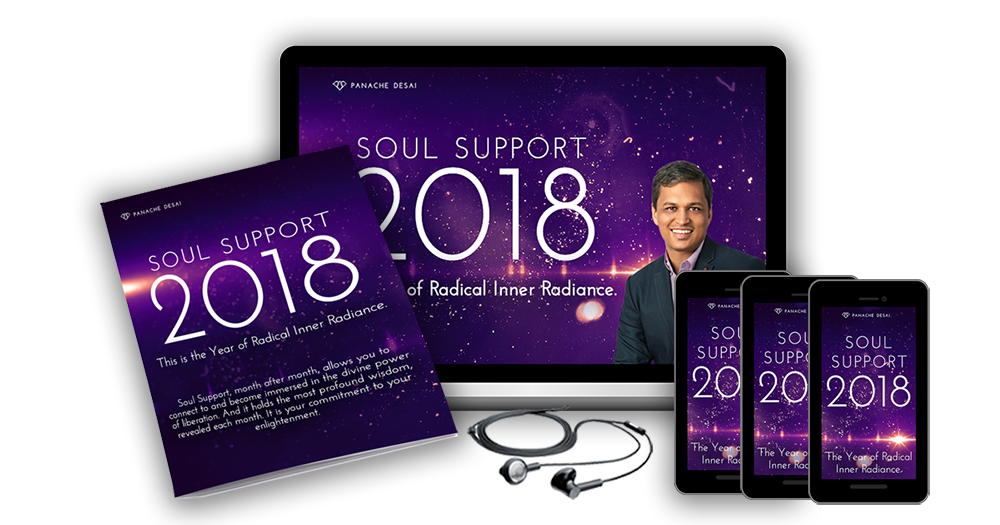 Purchase Button - Soul Support 2018 - The year of Radical Inner Radiance 