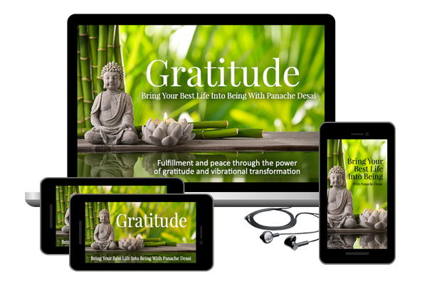 Purchase Button - Gratitude - Bring Your Best Life Into Being With Panache Desai