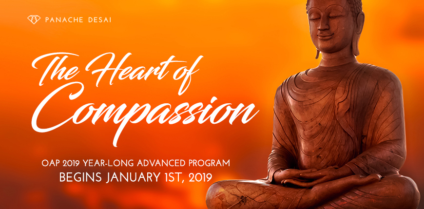 Optimal Acceleration Program 2019 - The Heart of Compassion - Panache Desai