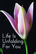 Life Is Unfolding For You