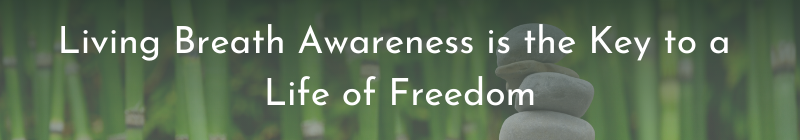 Living Breath Awareness is the Key to a Life of Freedom