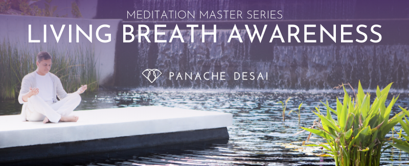 Meditation Master Series - Living Breath Awareness - Nourish your body, mind and spirit anywhere, anytime